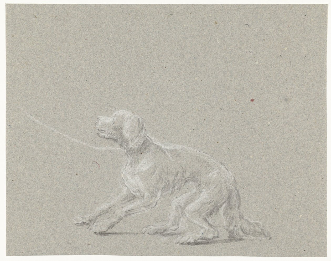 Tasmalı köpek by Louis Moritz