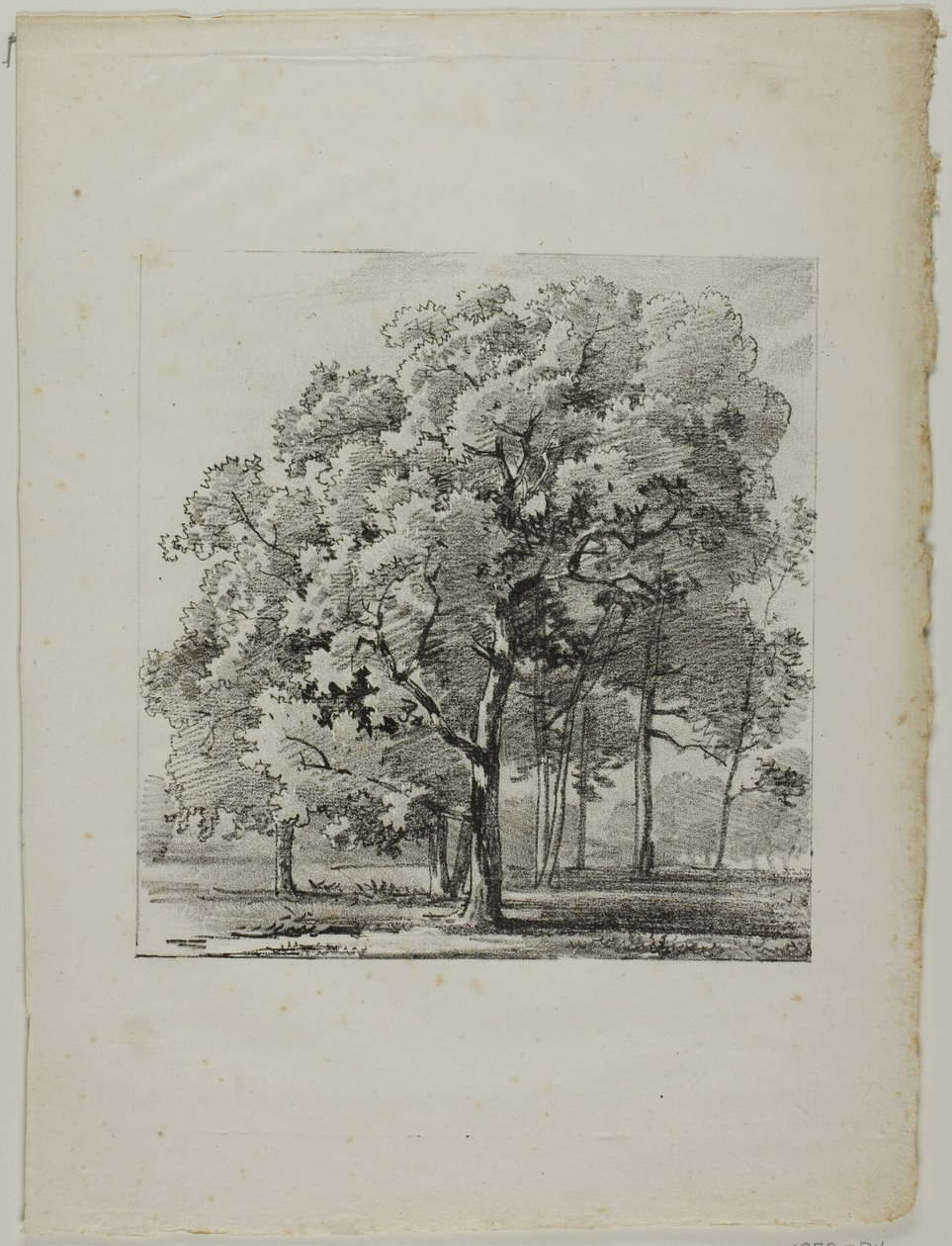 Ağaçların Çalışması by Louis Pierre Baltard