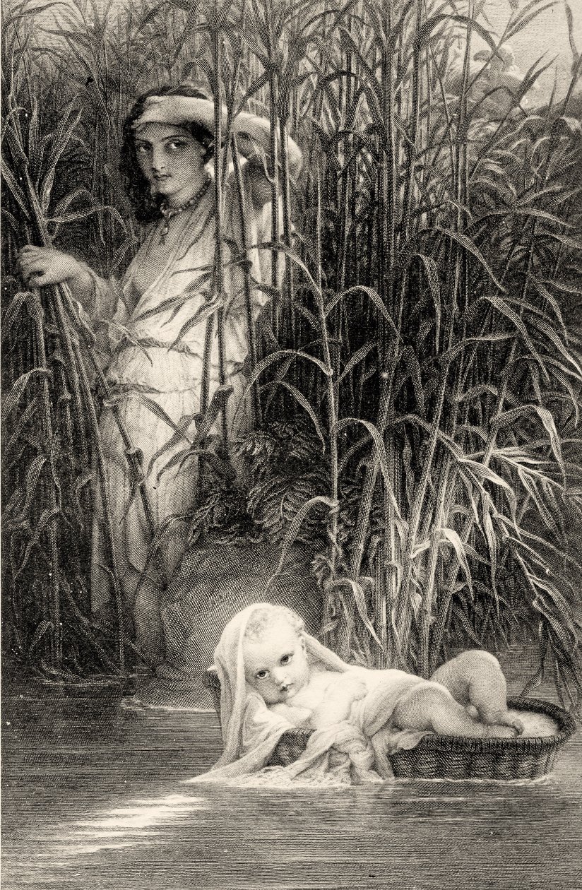 Musa Nil