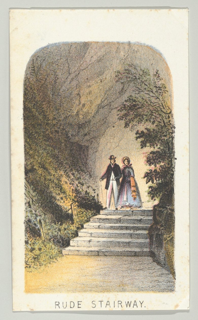 Rude Stairway, diziden, Views in Central Park, New York, Bölüm 2, 1864. by Louis Prang