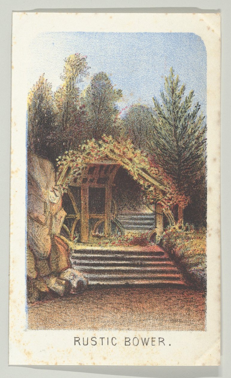 Rustic Bower, diziden, Manzaralar Central Park, New York, Bölüm 3, 1864. by Louis Prang