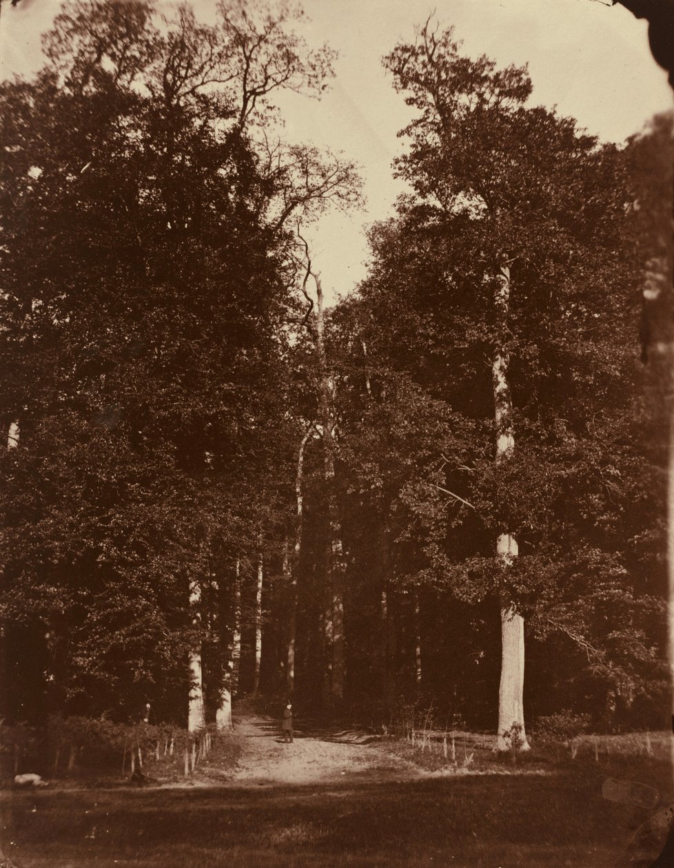  by Louis Rémy Robert