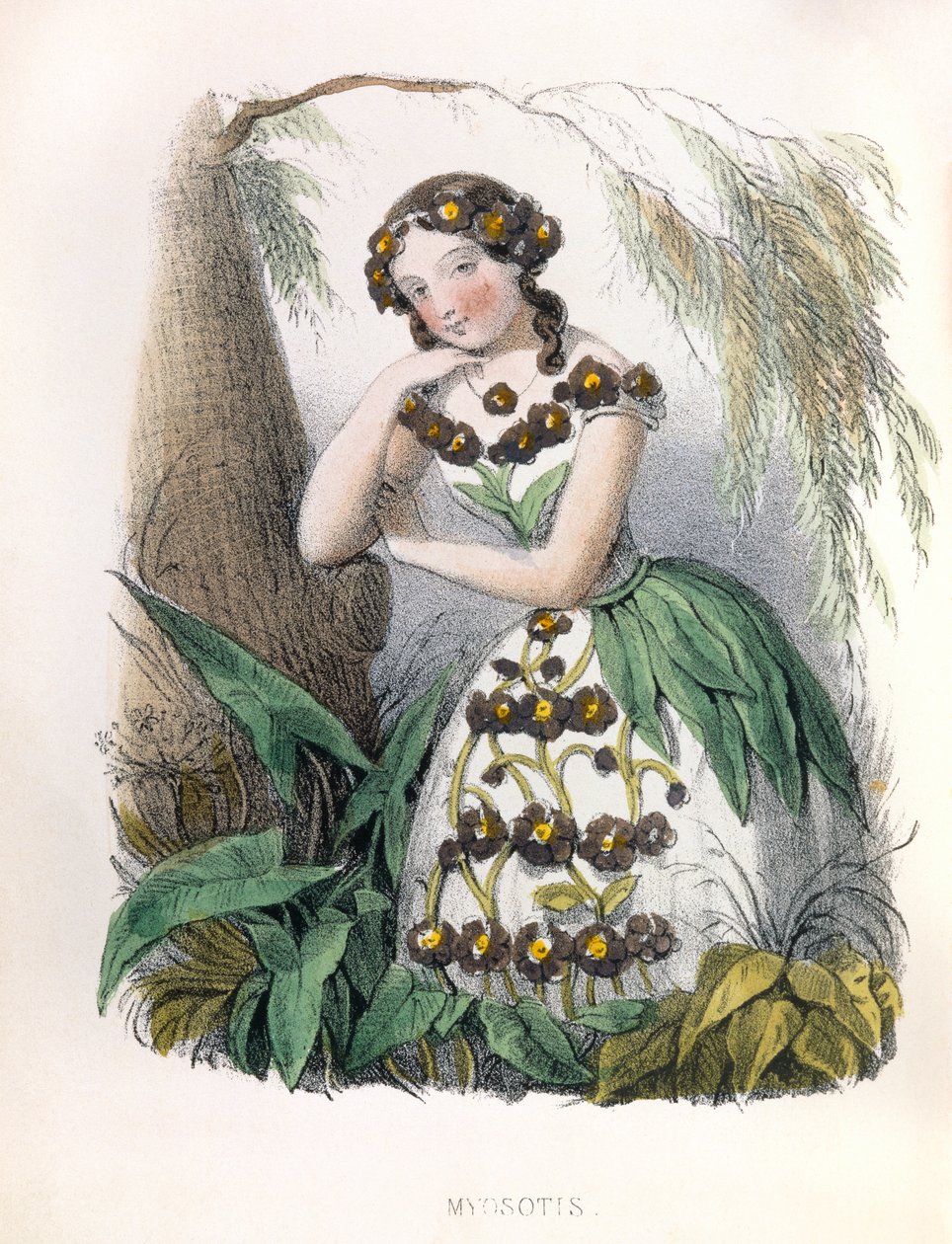 Allegorie , la Myosotis by Louis Simon (1810-1870) Lassalle