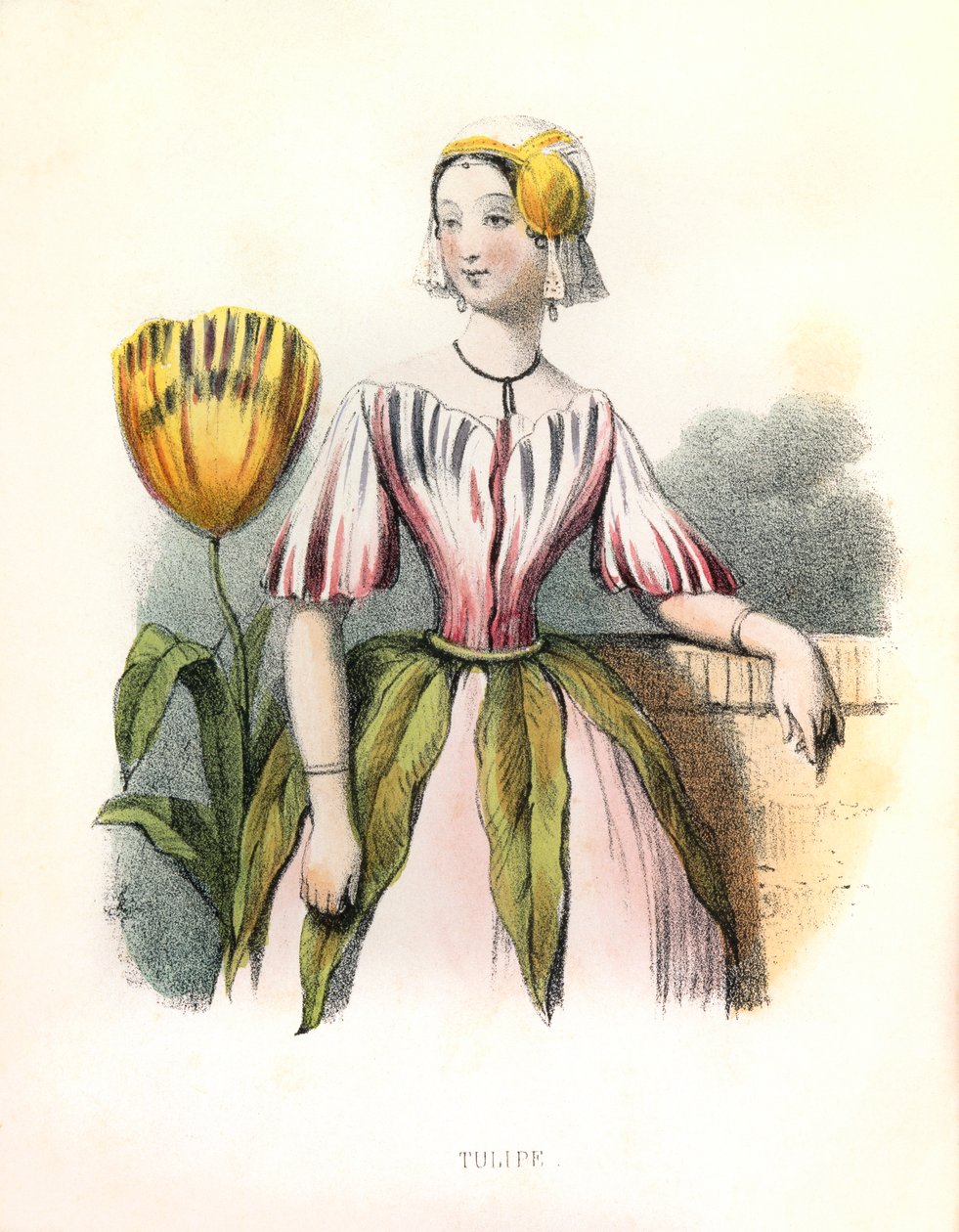 Allegorie , la Tulipe by Louis Simon (1810-1870) Lassalle