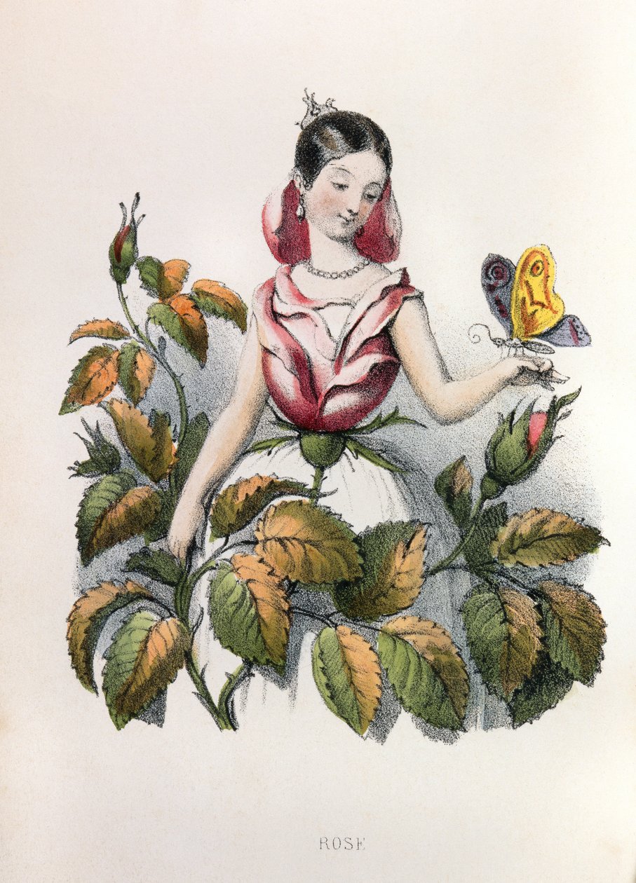 Alegoriler, la rose by Louis Simon (1810-1870) Lassalle