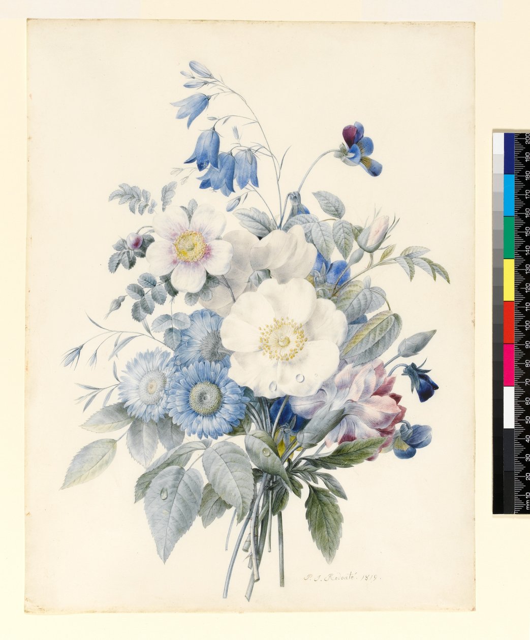 PD.847-1973 Yaz Çiçekleri Spreyi, 1820 (parşömen üzerine wc ve guaj) by Louise DOrleans
