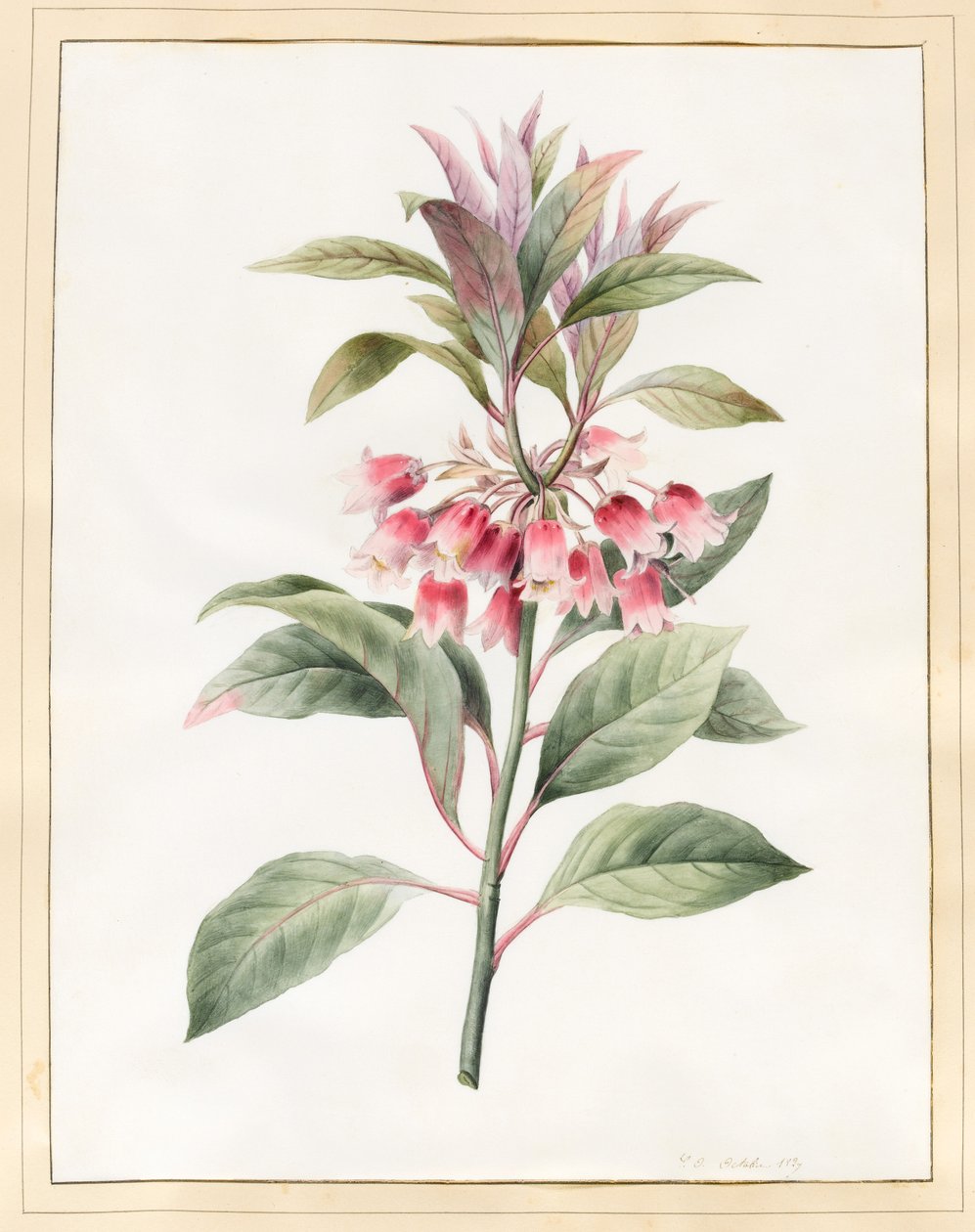 İsimsiz, 1827 (parşömen üzerine wc) by Louise DOrleans