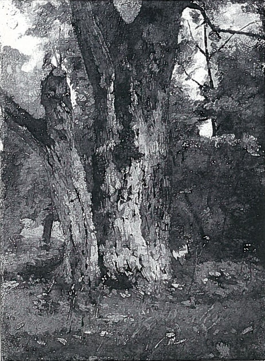 Königsbergn