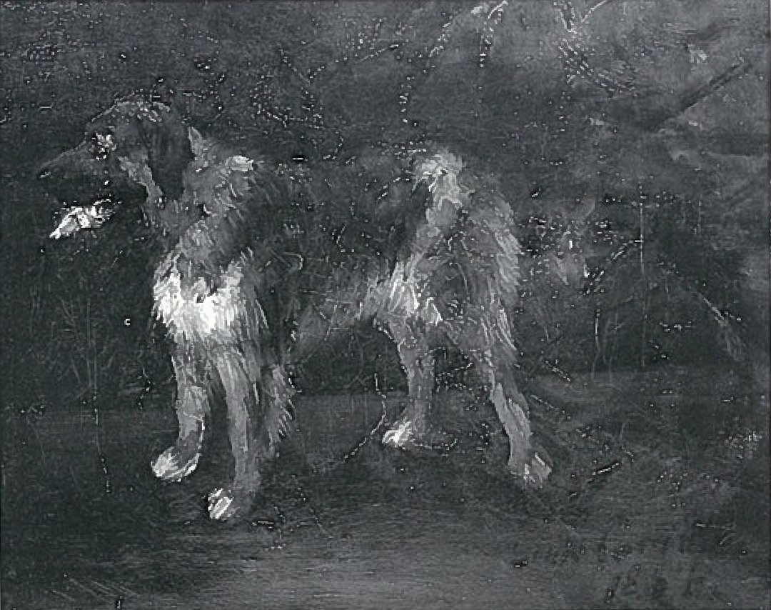 Köpek çalışmaları by Lovis Corinth