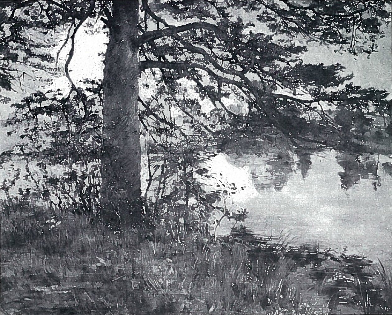 Su kenarında çam by Lovis Corinth