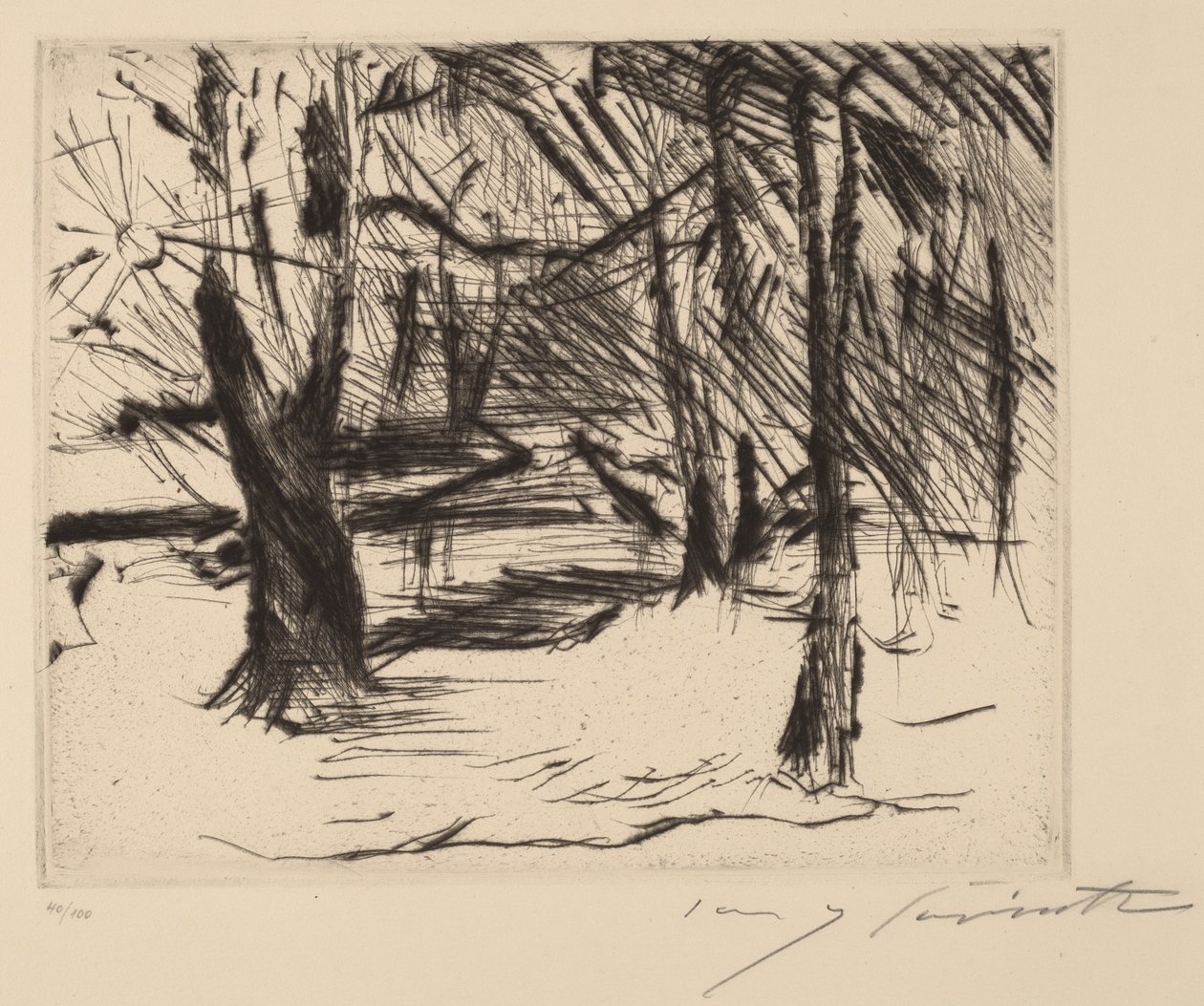 Güneşte Ağaçlar by Lovis Corinth