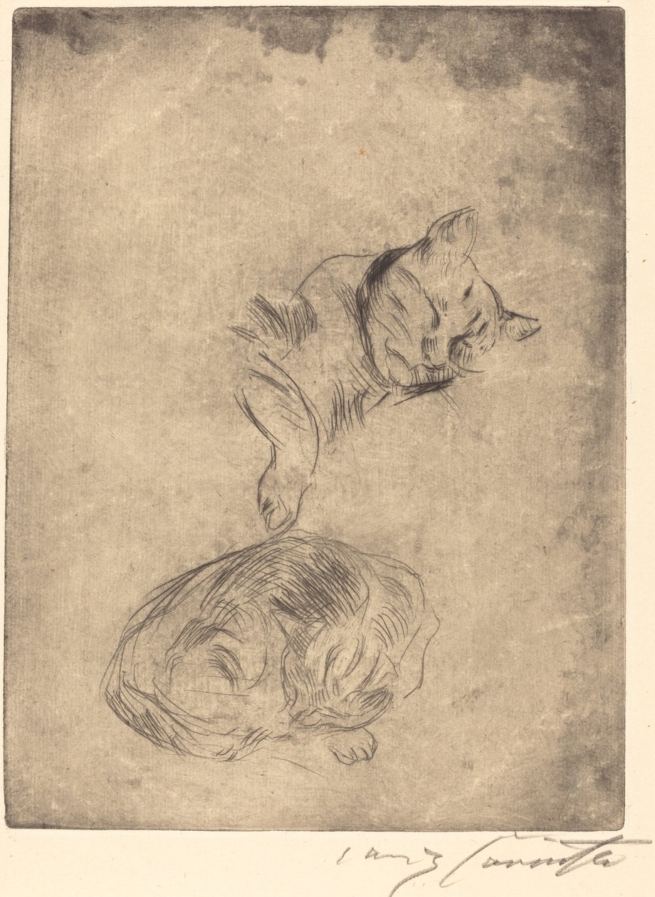 Katzenstudie Kediler Çalışması, 1920. by Lovis Corinth