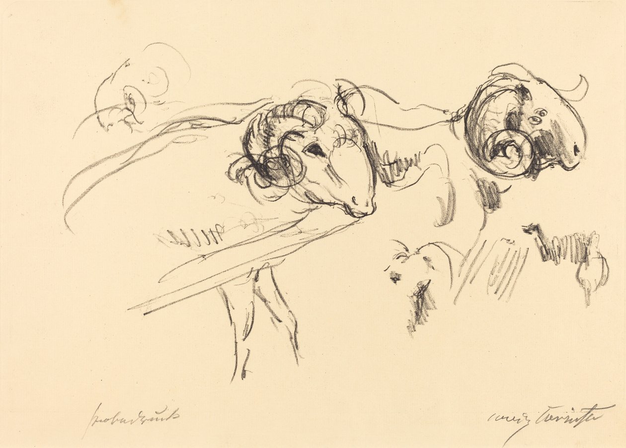 koç by Lovis Corinth