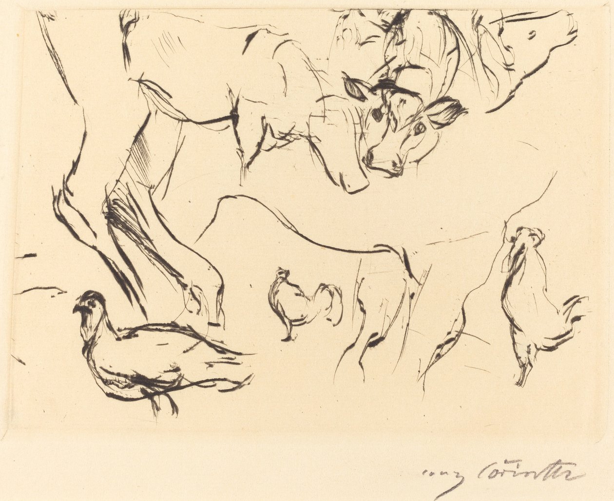 Çeşitli Hayvan Çalışmaları by Lovis Corinth
