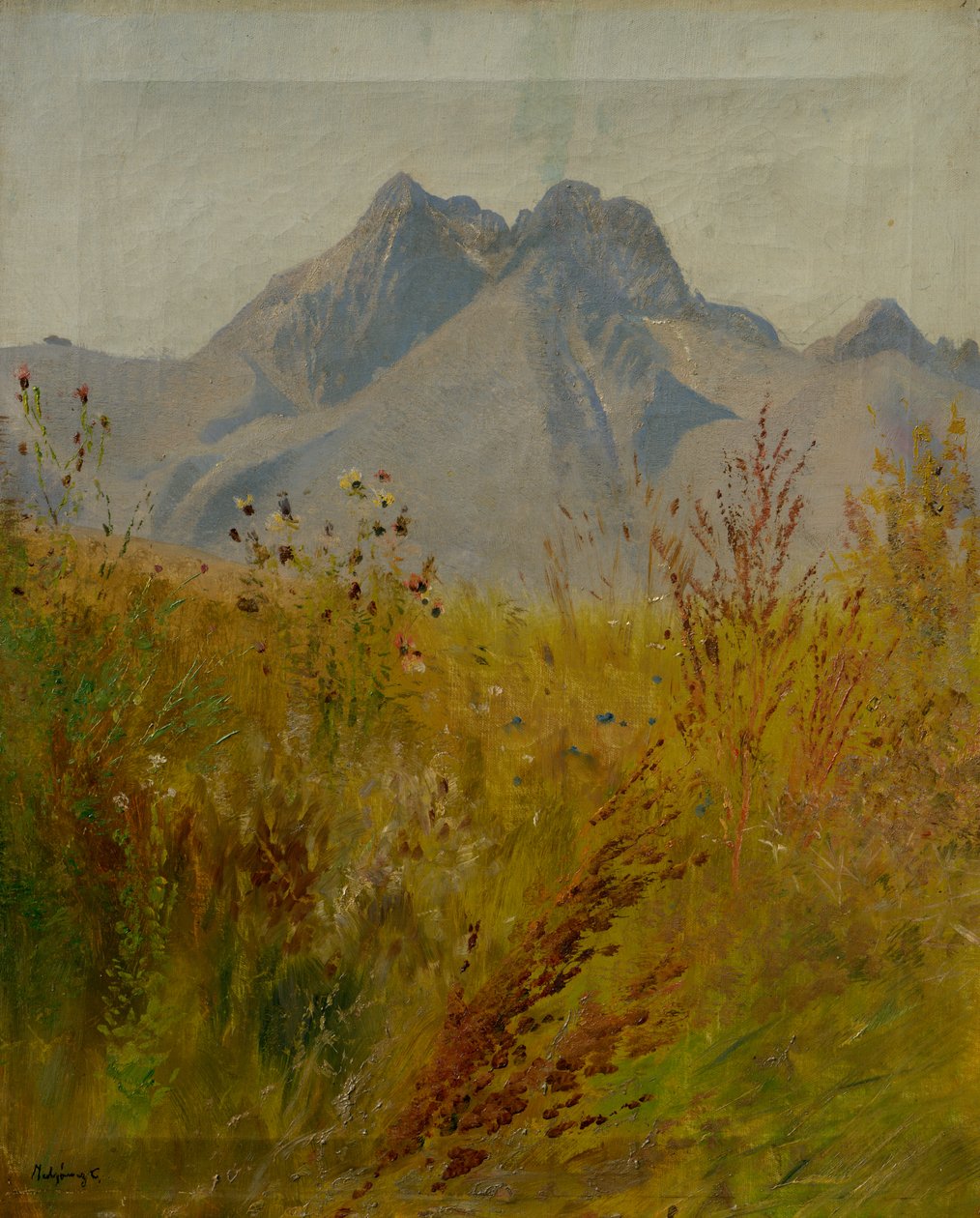 Lomnický Zirvesi by Laszlo Mednyanszky