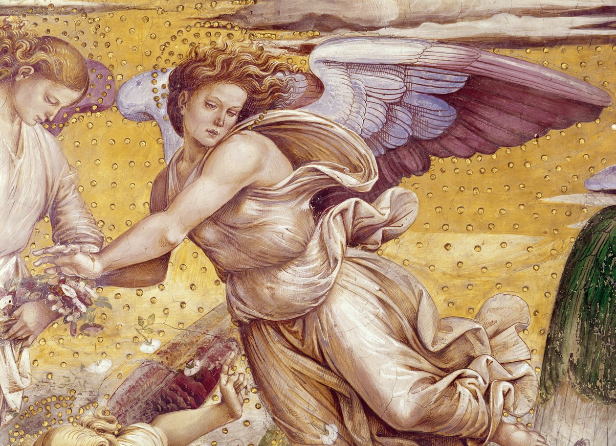 Detail of the Elect in Paradise, from the Chapel of the Madonna di San Brizio, 1499-1504  by Luca Signorelli