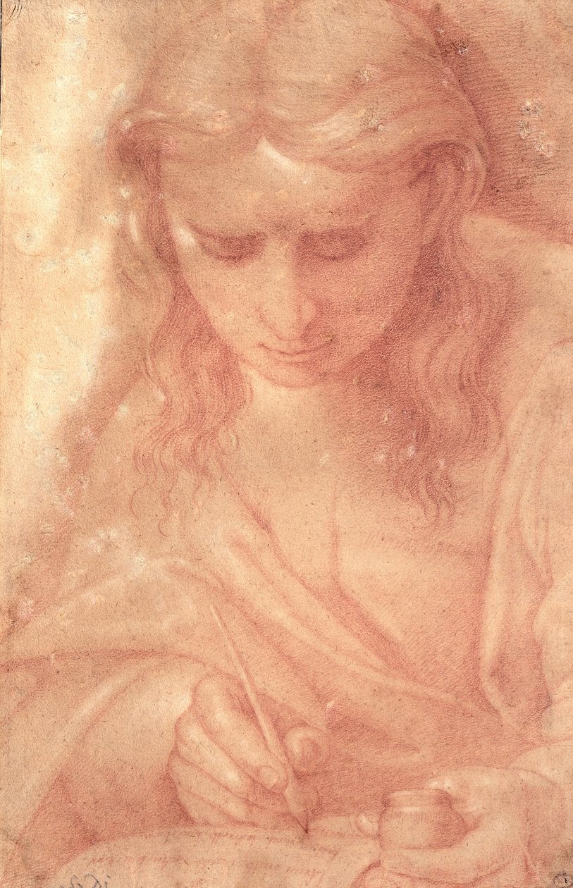 Aziz John the Divine (kağıt üzerinde kırmızı tebeşir) by Luca Signorelli