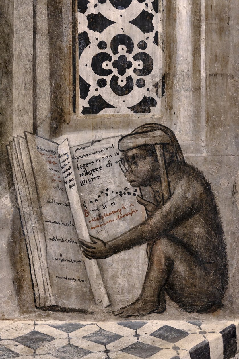 Kitap okuyan gözlüklü maymun by Luca (workshop of) Signorelli