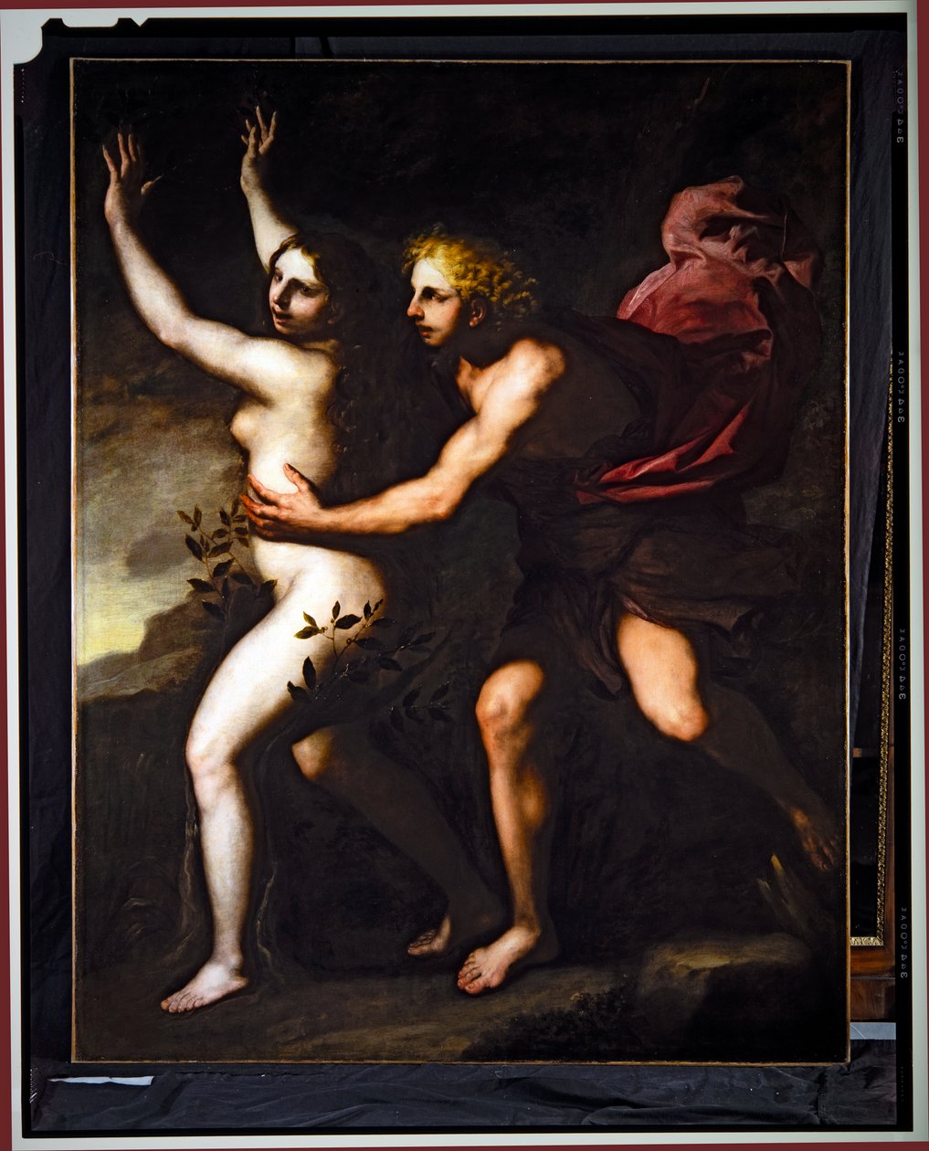  by Luca Giordano