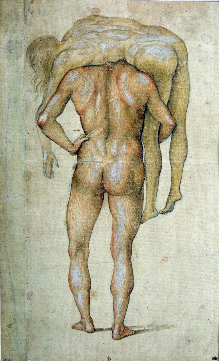 Luca Signorelli (1441-1523) 15. yüzyıl Paris, Louvre Müzesi tarafından Vücut Giyen Bir Adam Çizimi by Luca Signorelli