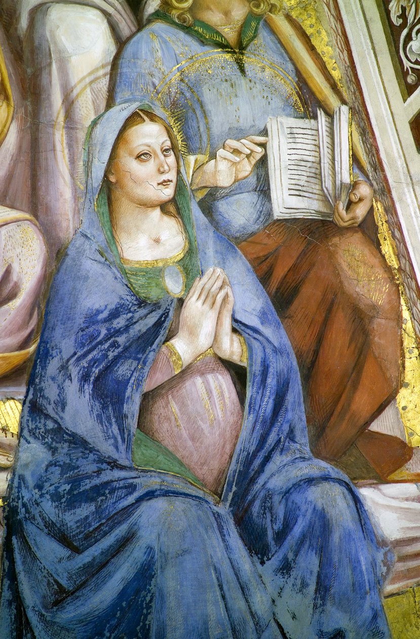 Havariler, Bakire detayı by Luca Signorelli