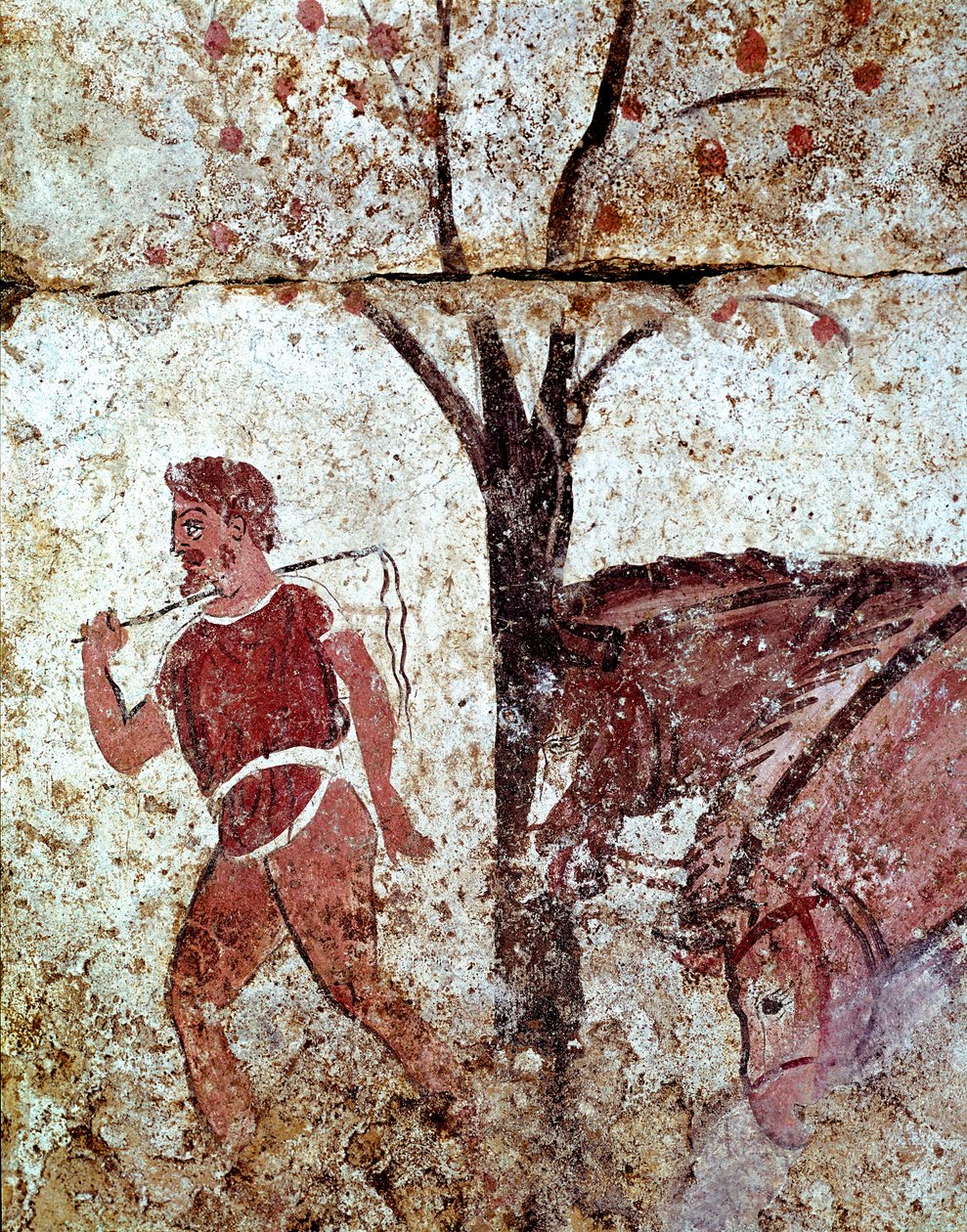 İtalya, Paestum nekropolünden MÖ 4. yüzyıldan iki at Lucanian fresk çeken bir köylü. Museo nazionale arkeolog, Paestum by Lucanian School