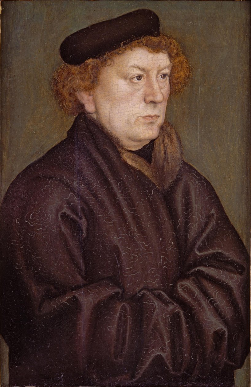 Bir Bilim Adamının Portresi by Lucas Cranach the Elder
