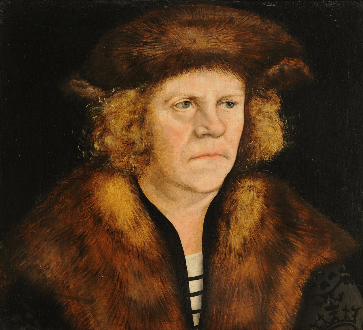 Kahverengi kürk bereli bir adamın portresi by Lucas Cranach the Elder