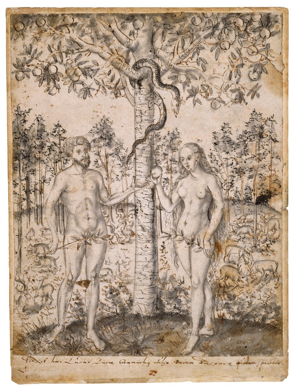 İnsanın Düşüşü, 1549