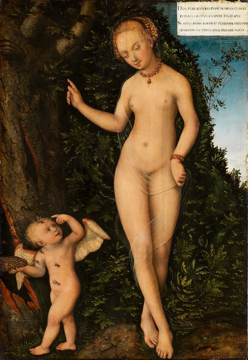Bal Hırsızı Venüs ve Aşk Tanrısı by Lucas Cranach the Elder