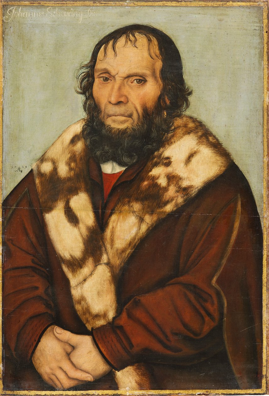 Porträt des Magdeburger Theologen Dr. Johannes Scheyring by Lucas Cranach the Elder