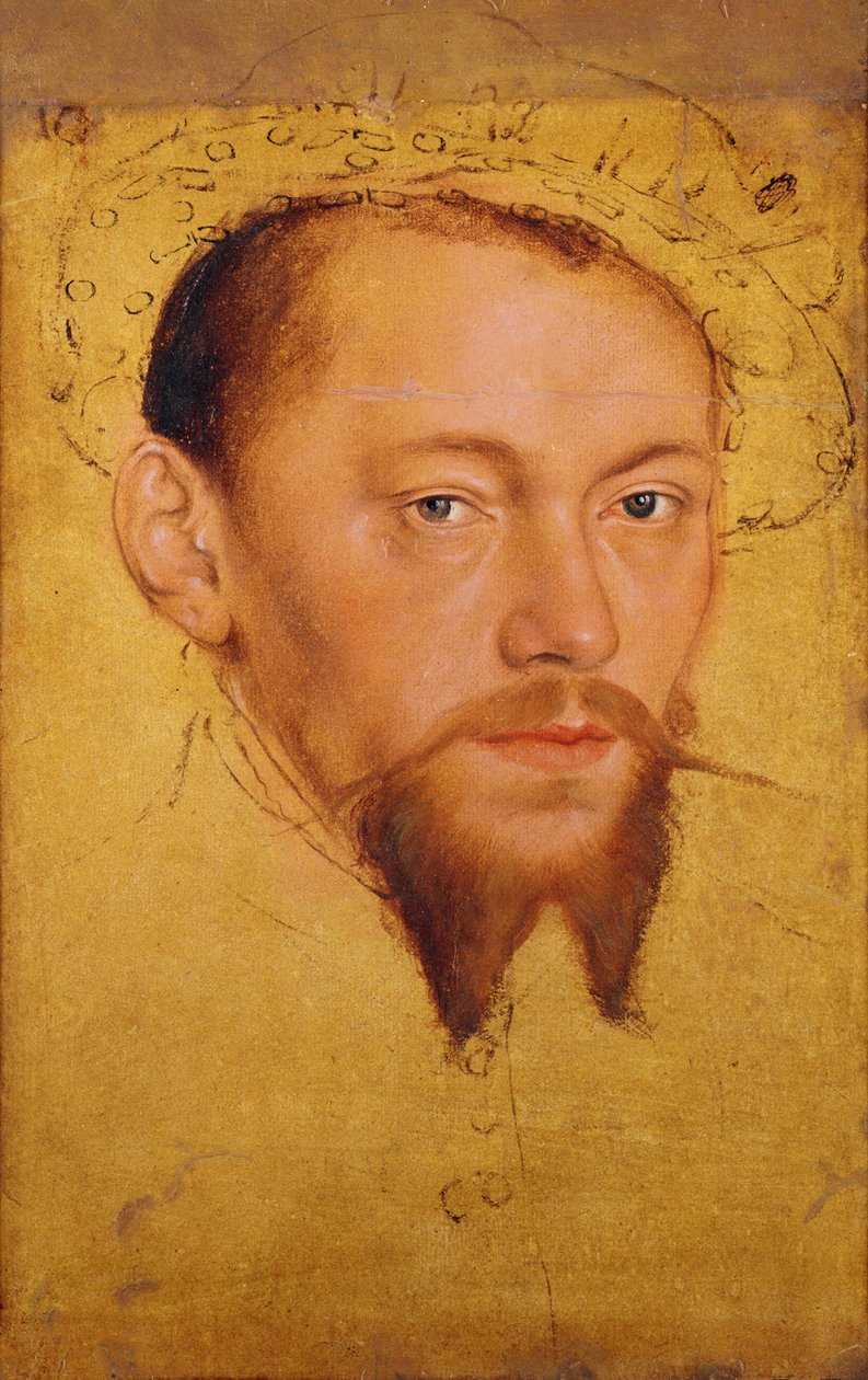 Moritze (1521-53) Duke of Saxony, later Elector (oil, gouache und wc on paper) by Lucas Cranach the Younger