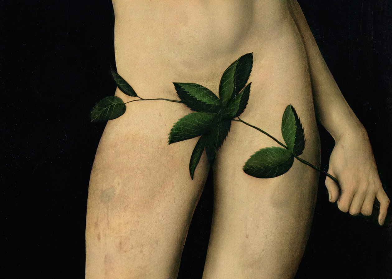 Adam, 1528, 9628