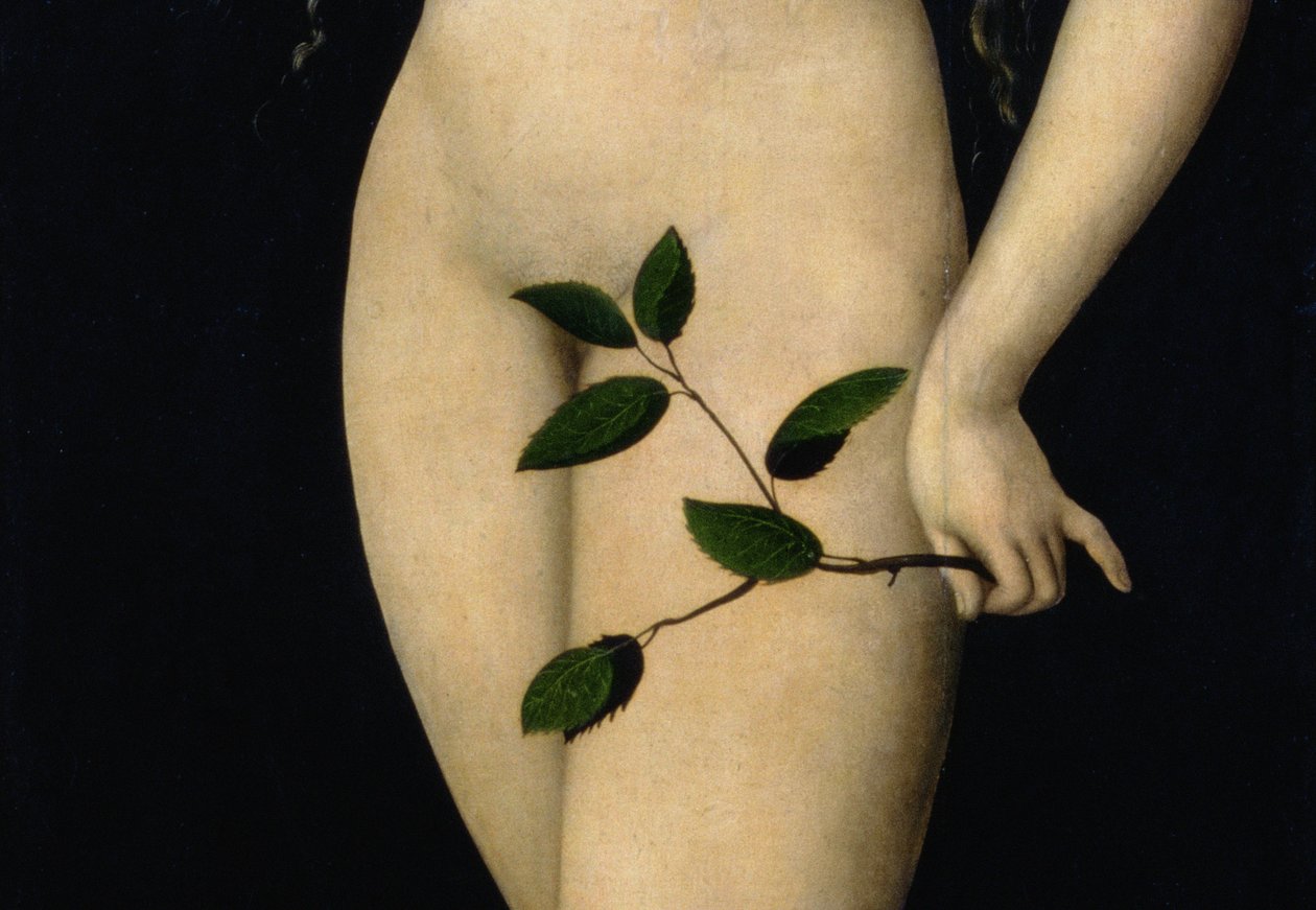 Havva, 1528 (9629 detayı) by Lucas Cranach the Elder
