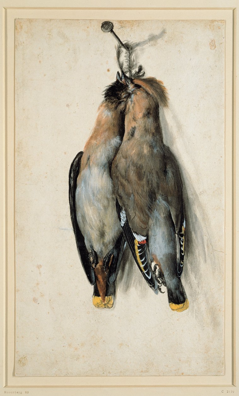 İki Ölü Bohem Ağda by Lucas Cranach the Elder