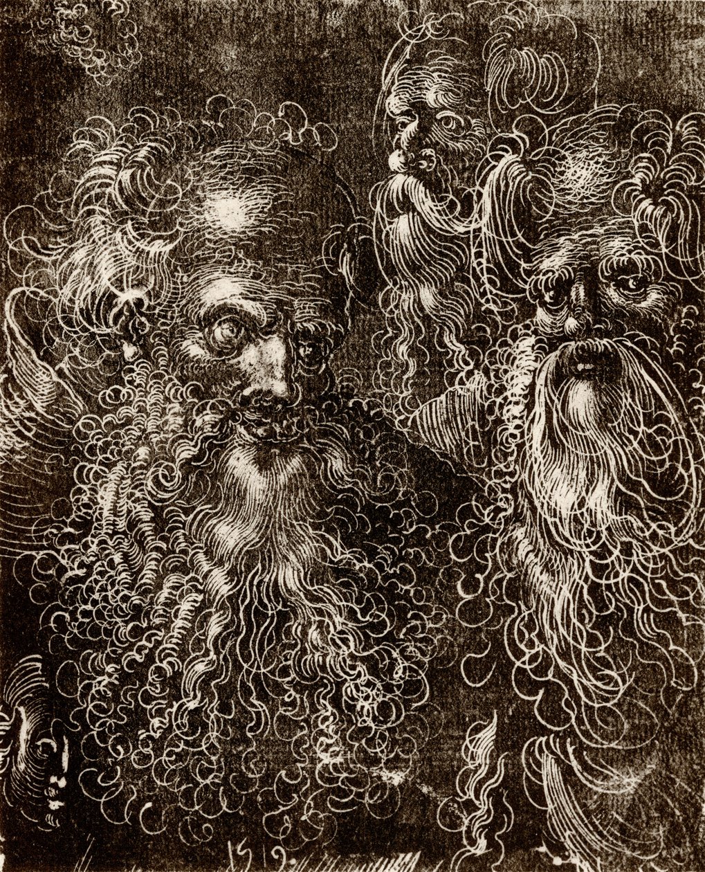 Çeşitli kafa çalışmaları by Lucas (school of) Cranach