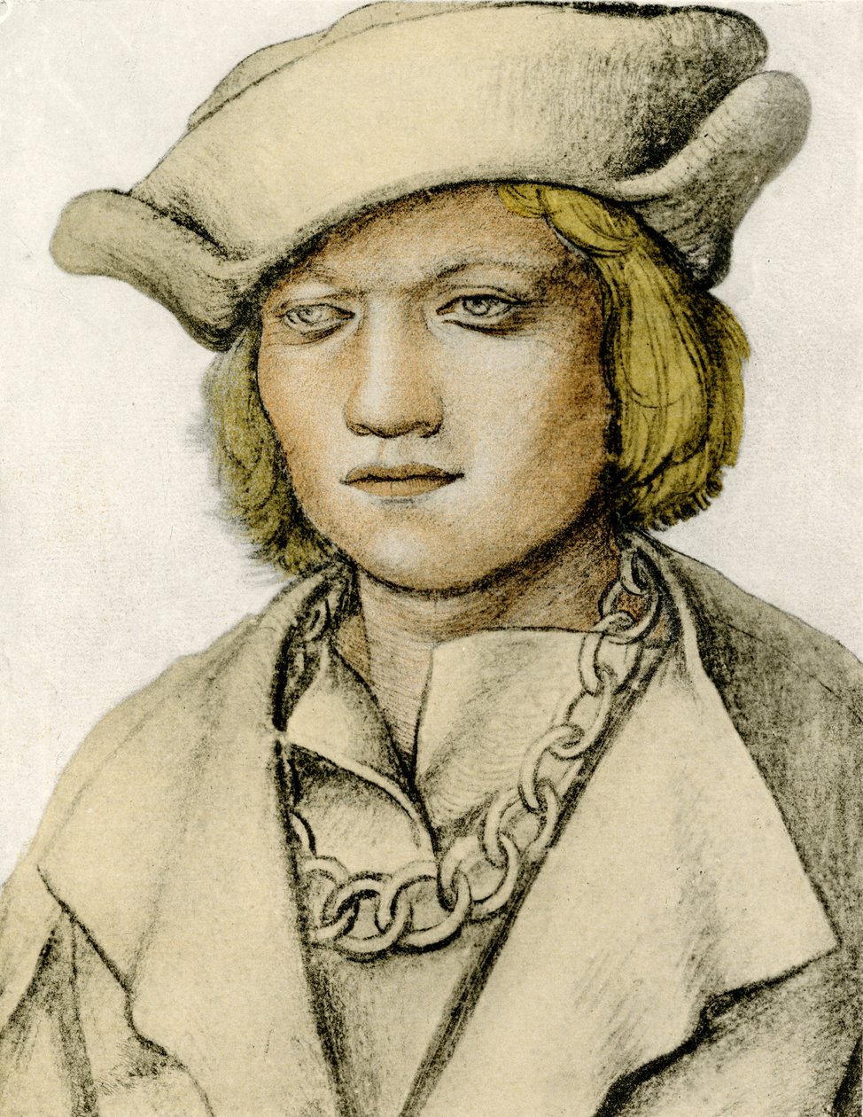 Şapkalı genç bir adamın portresi by Lucas Cranach the Elder