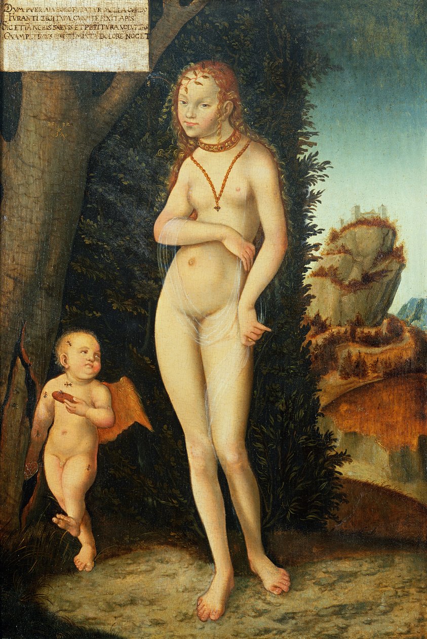 Bilinmeyen resim by Lucas Cranach