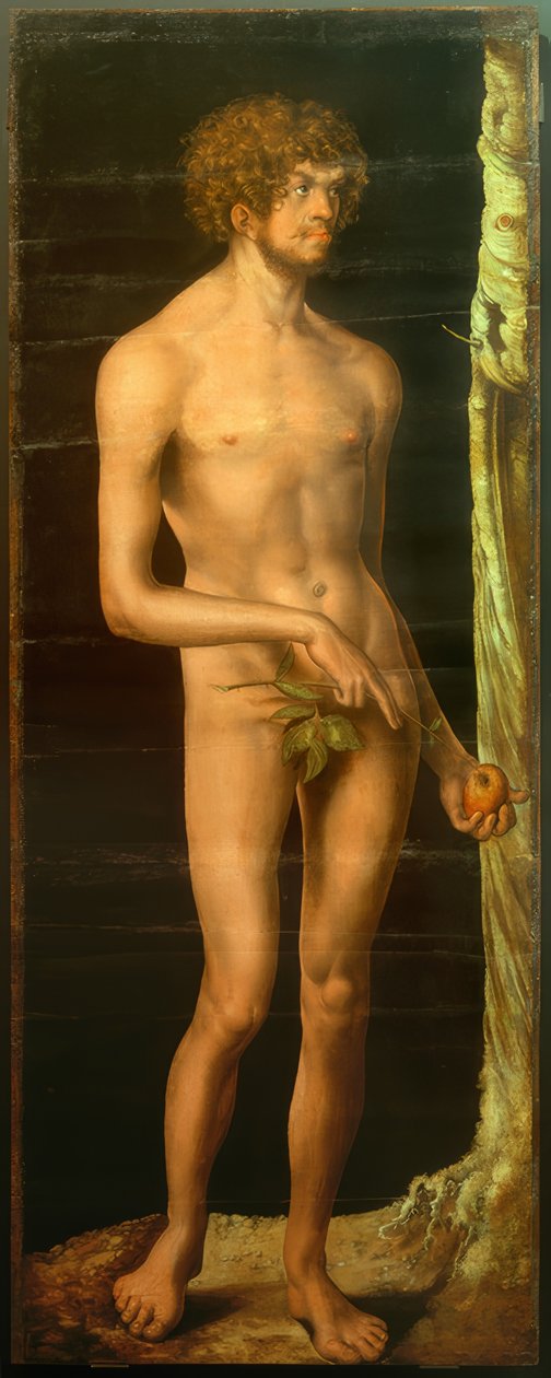 Adem by Lucas Cranach the Elder