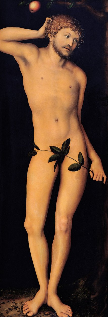 Adem, 1528. by Lucas Cranach the Elder