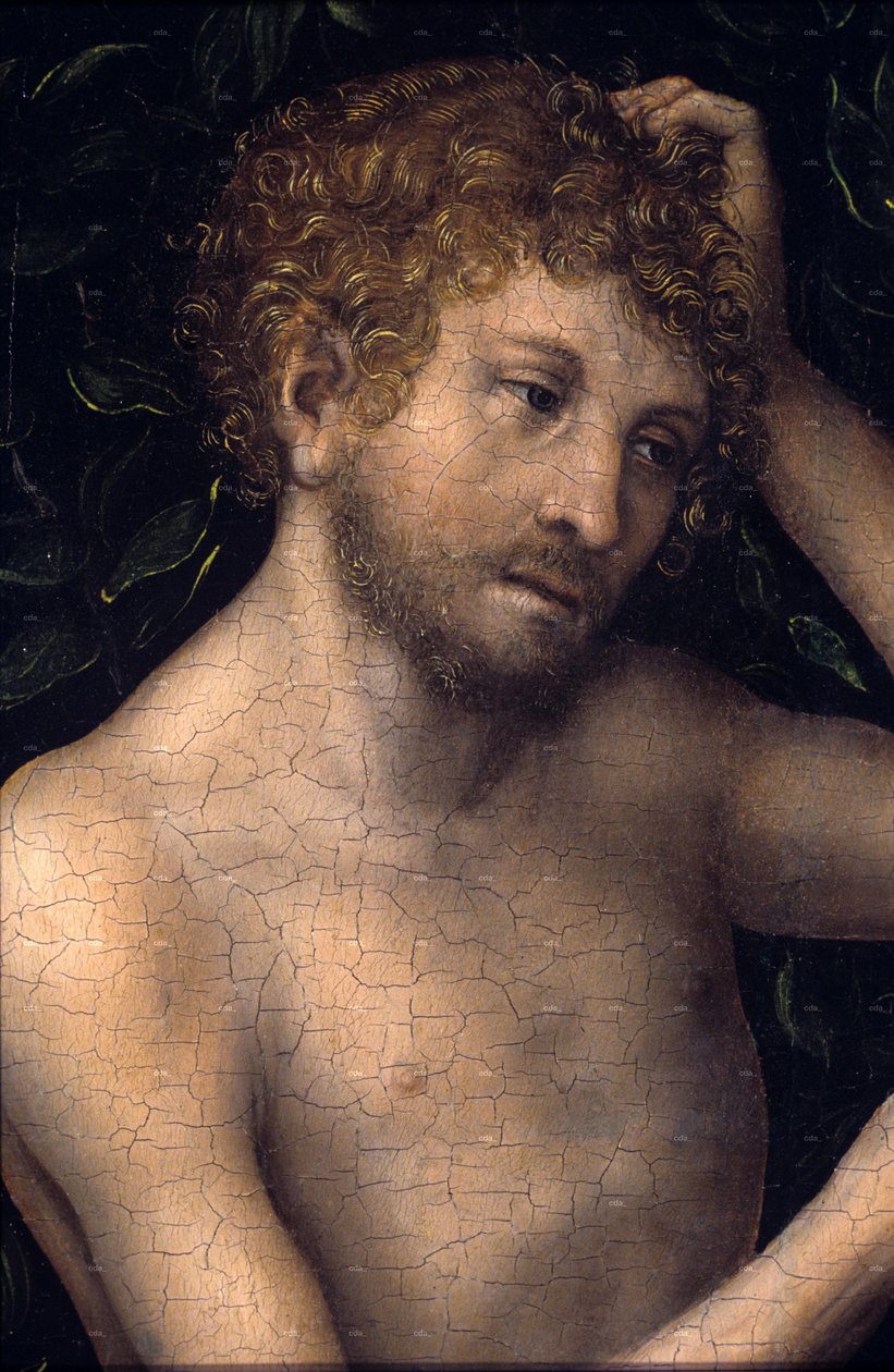  by Lucas Cranach the Elder