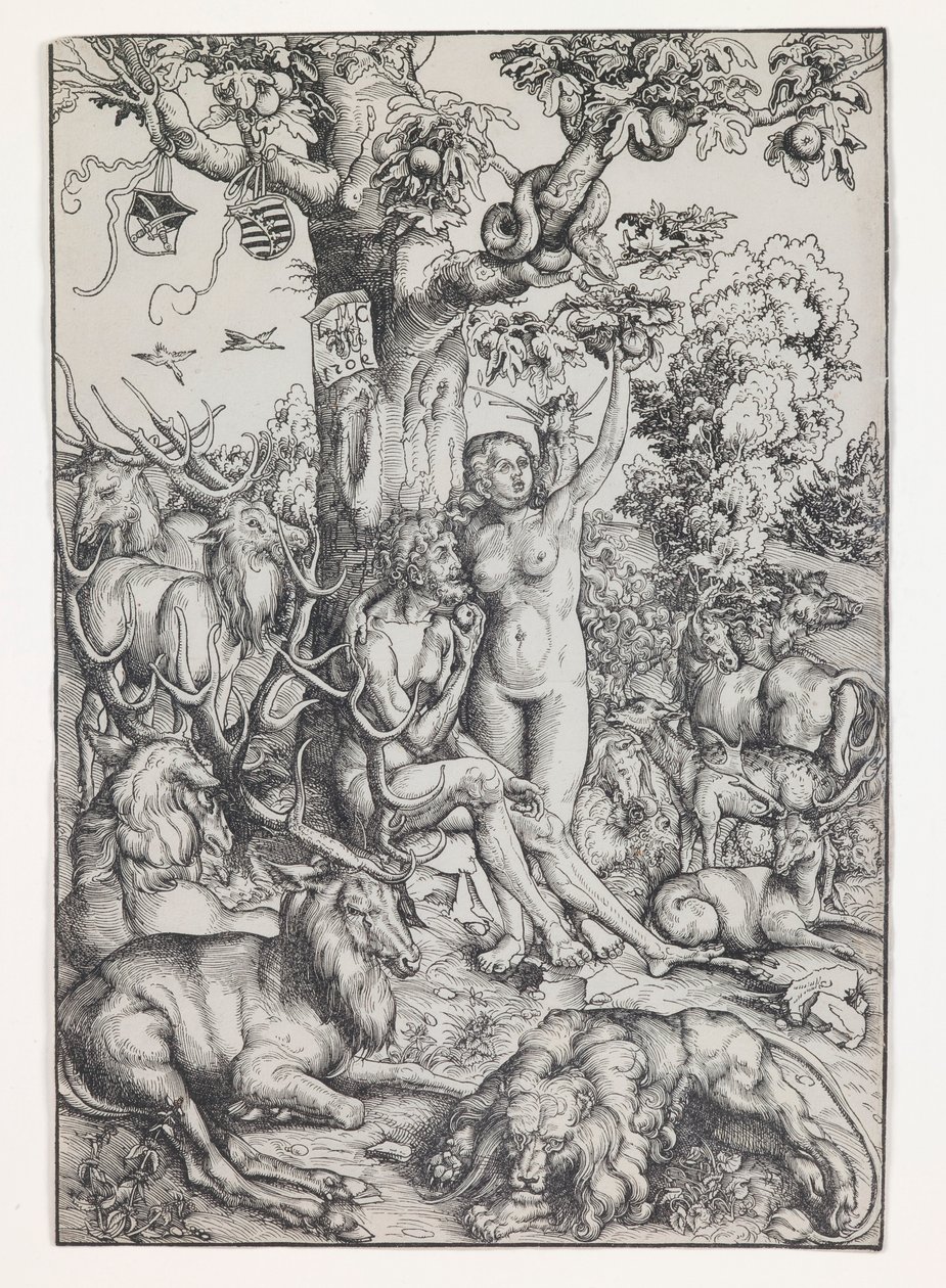 Adem ve Havva Cennette by Lucas Cranach the Elder