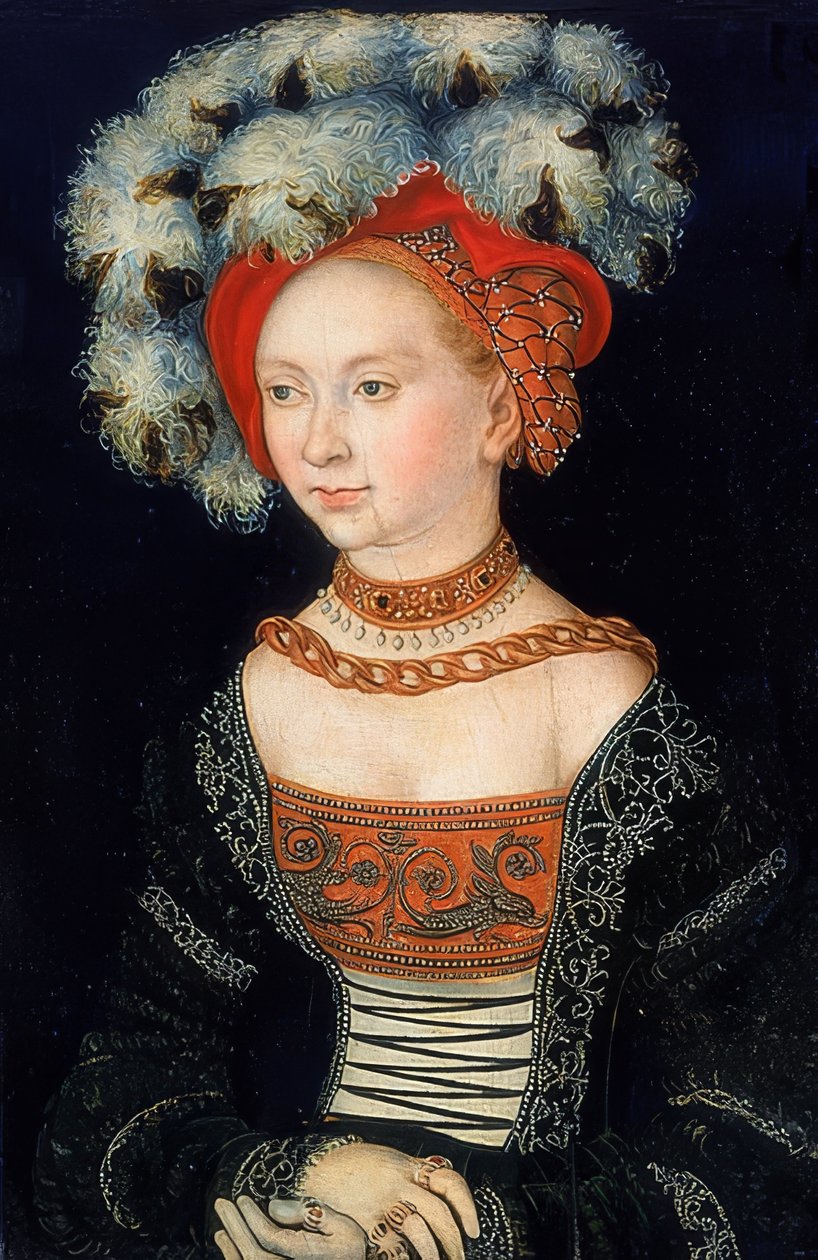 Bir Hanımefendinin Portresi. 1530 civarında by Lucas Cranach the Elder