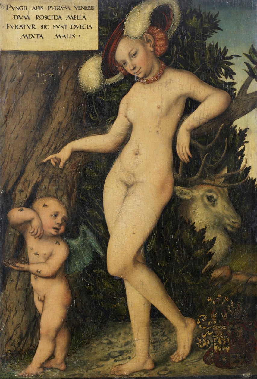  by Lucas Cranach the Elder