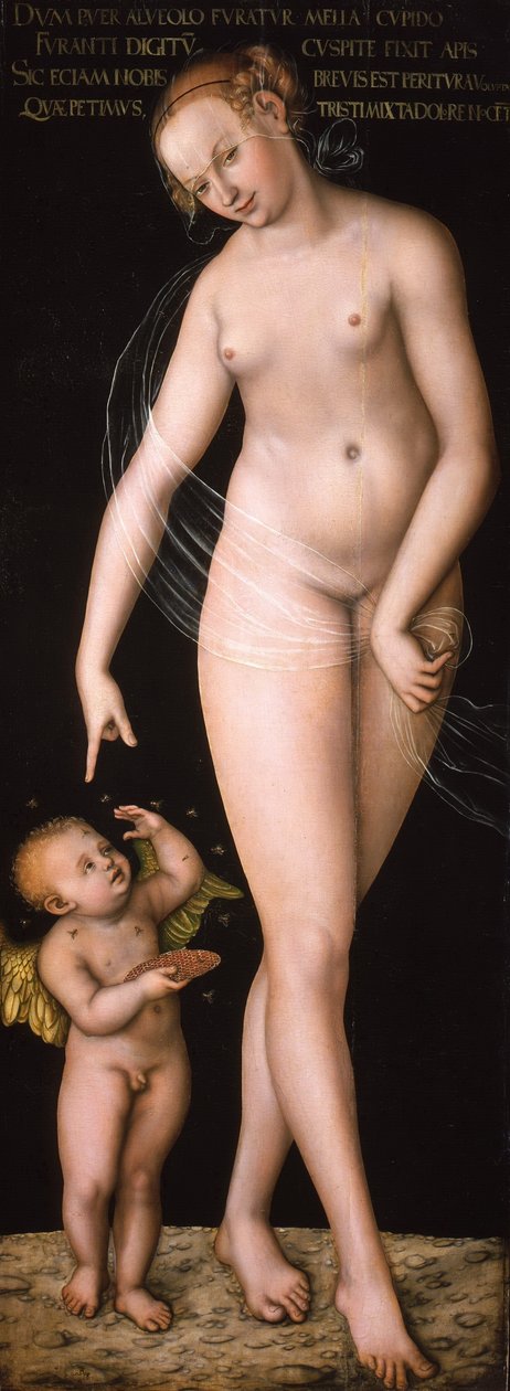  by Lucas Cranach the Elder