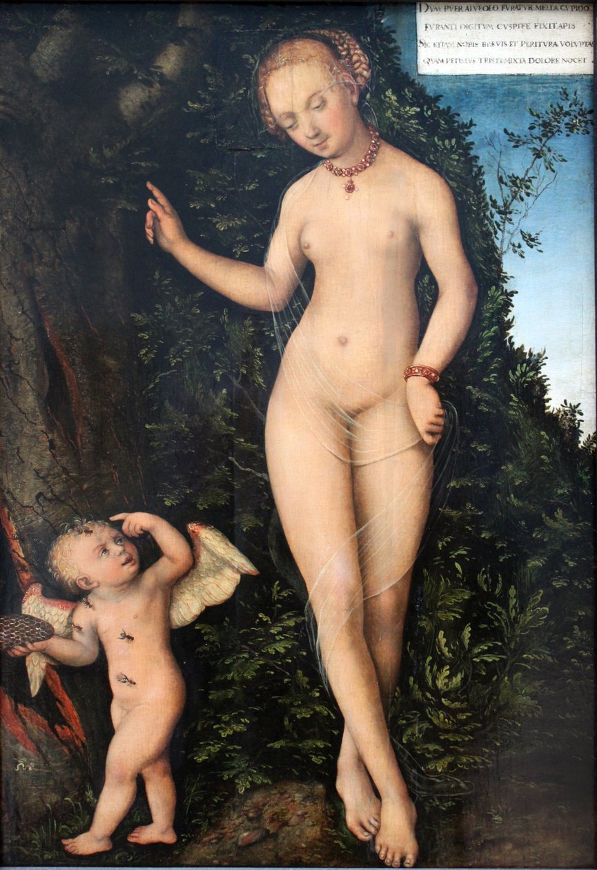  by Lucas Cranach the Elder