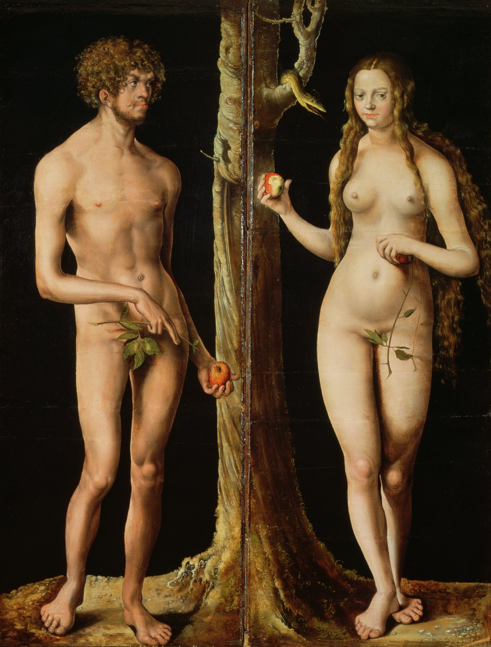 Adem ve Havva, c.1508-10 (kireç üzerinde yağ ve tempera) (ayrıca bkz. 159264) by Lucas the Elder Cranach
