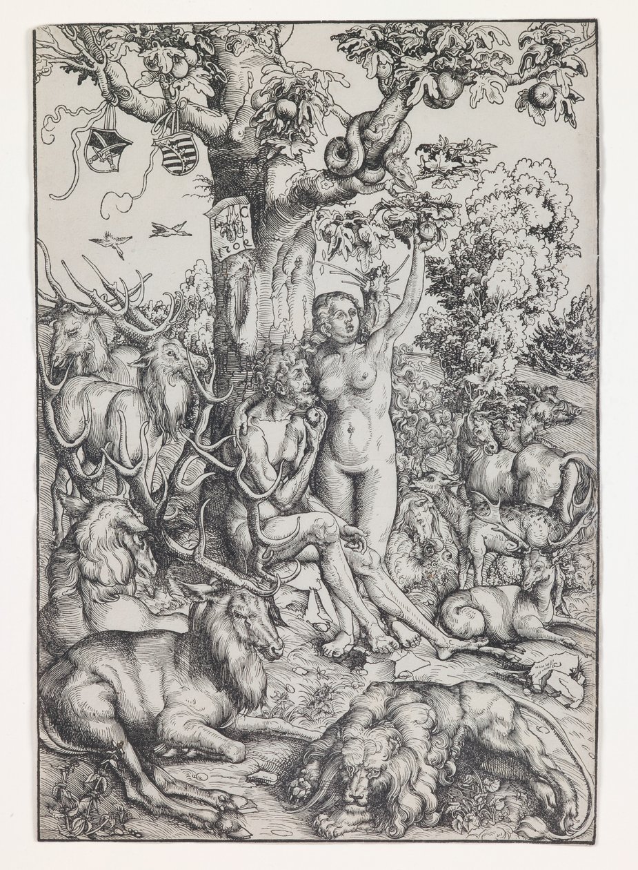  by Lucas the Elder Cranach