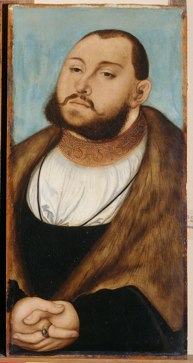 John Frederick I, Saksonya Elector (1503-1554), Cranach, Lucas, the Elder (1472-1553). ahşap üzerine yağ by Lucas the Elder Cranach