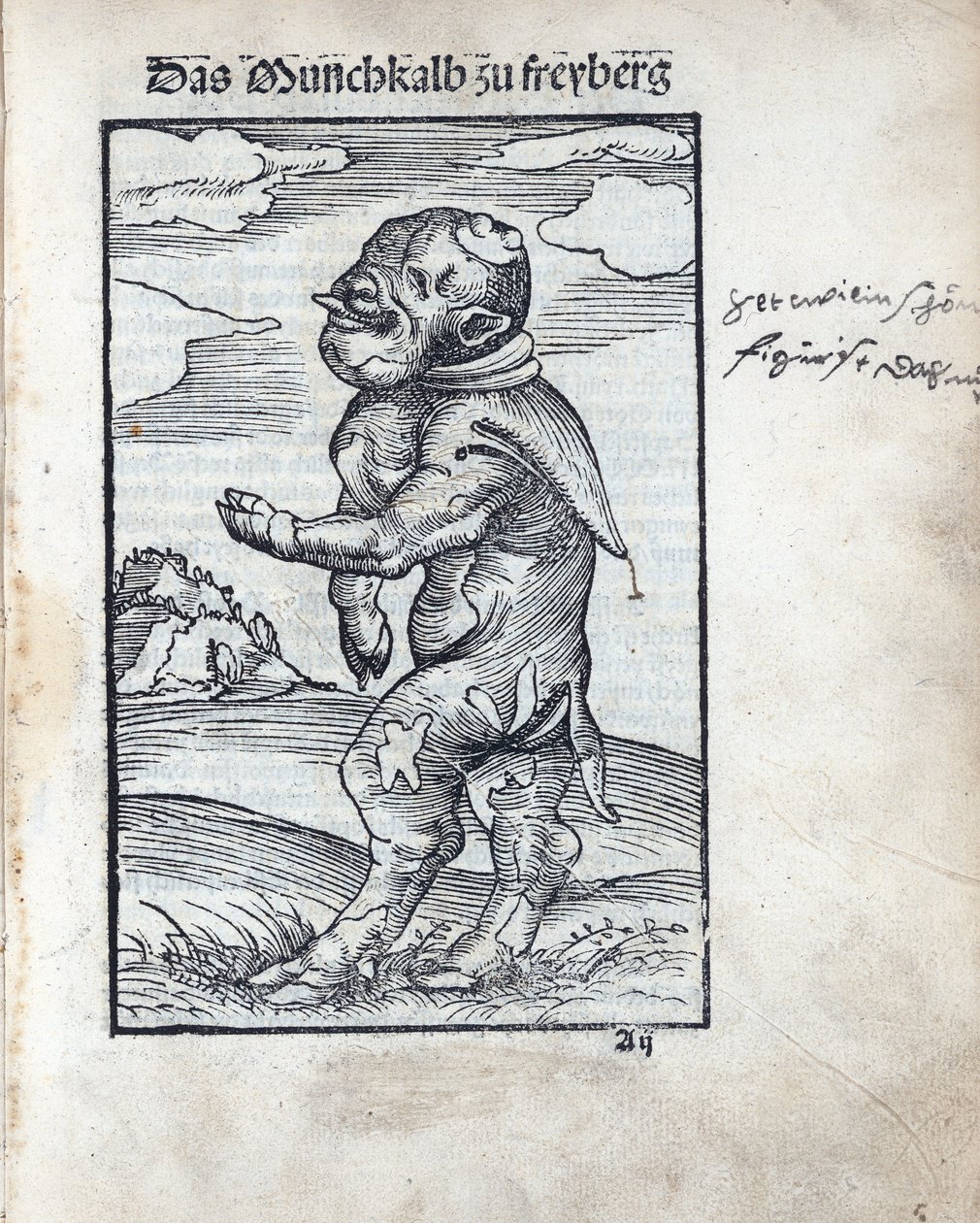 Freiberg Keşiş Buzağı (Das Moenchkalb zu Freiberg), Cranach, Lucas, the Elder (1472-1553). gravür by Lucas the Elder Cranach
